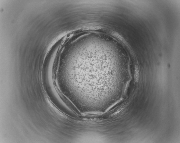 X0000052630726200507221749