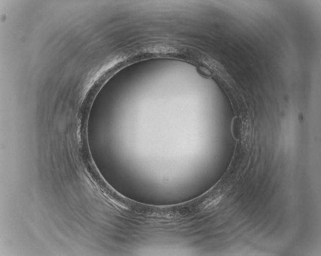 X0000052630727200507221749