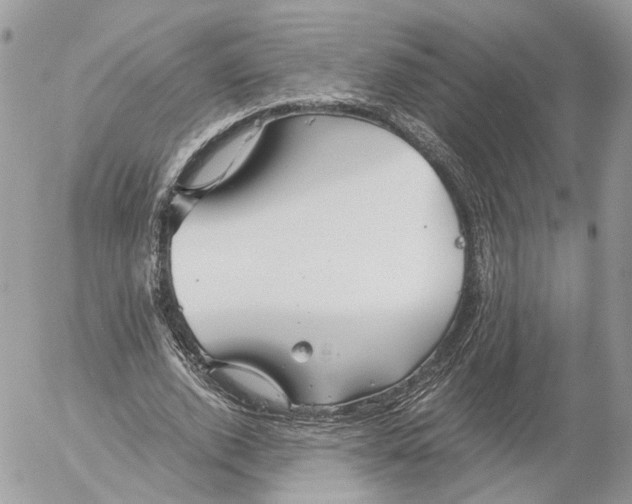 X0000052630728200507221749