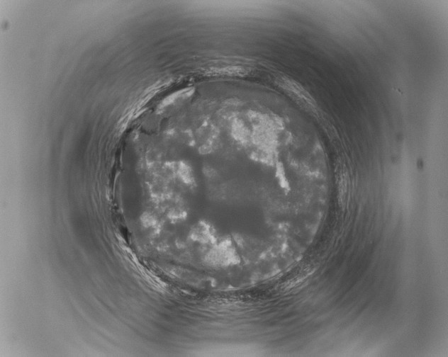 X0000052630729200507221749