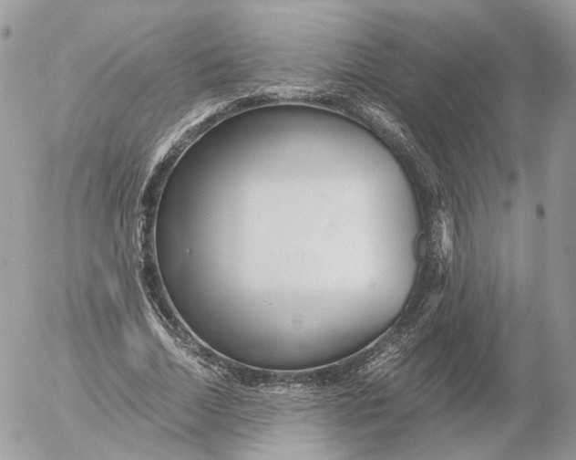 X0000052630730200507221749