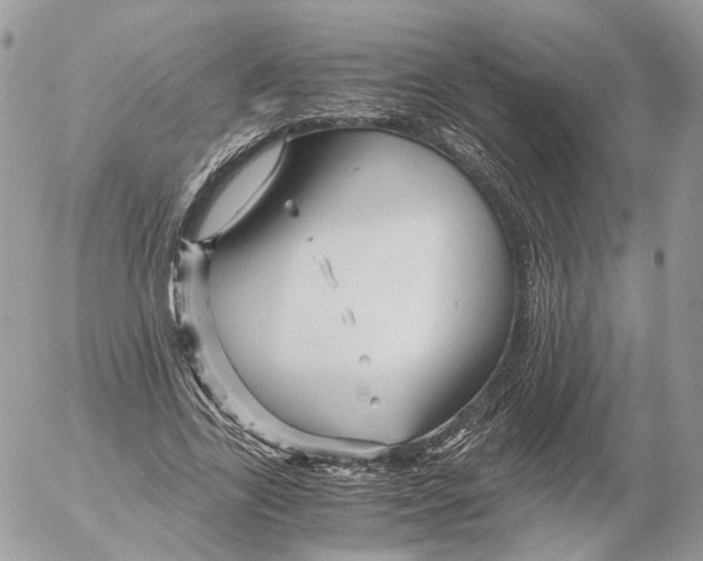 X0000052630731200507221749