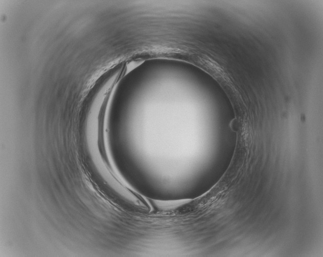 X0000052630732200507221749