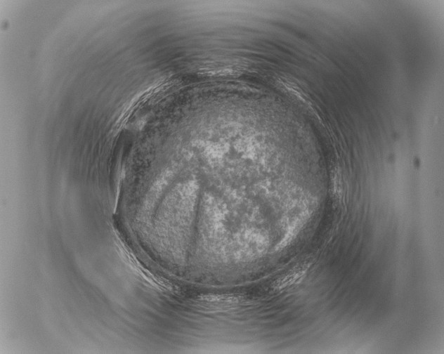 X0000052630733200507221749