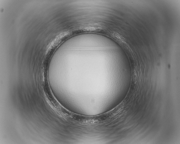 X0000052630734200507221749