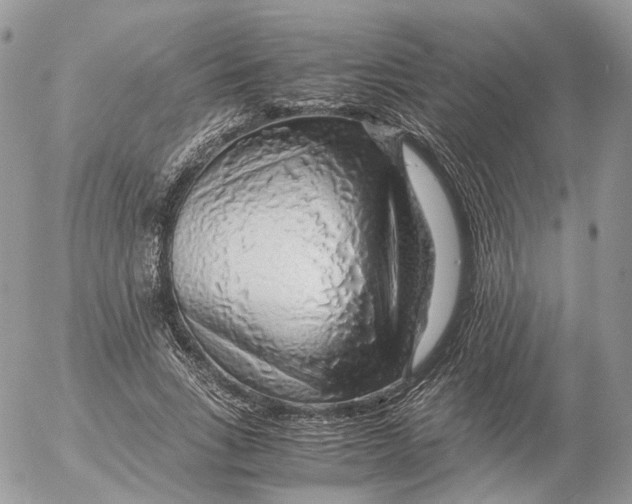 X0000052630735200507221749