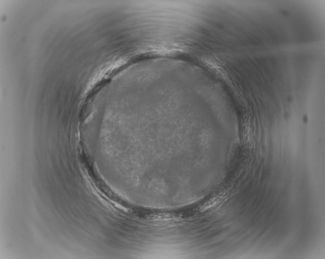 X0000052630736200507221749