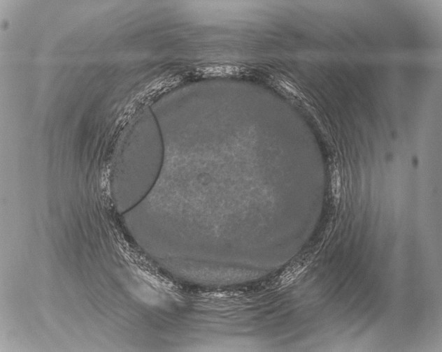 X0000052630737200507221749