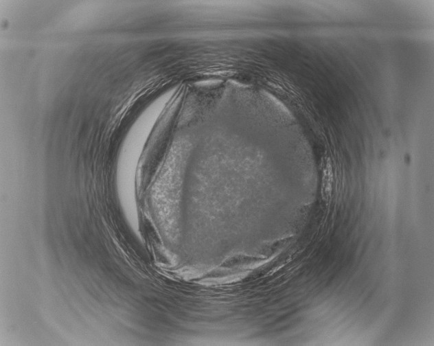 X0000052630739200507221749