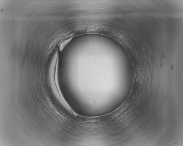 X0000052630740200507221749