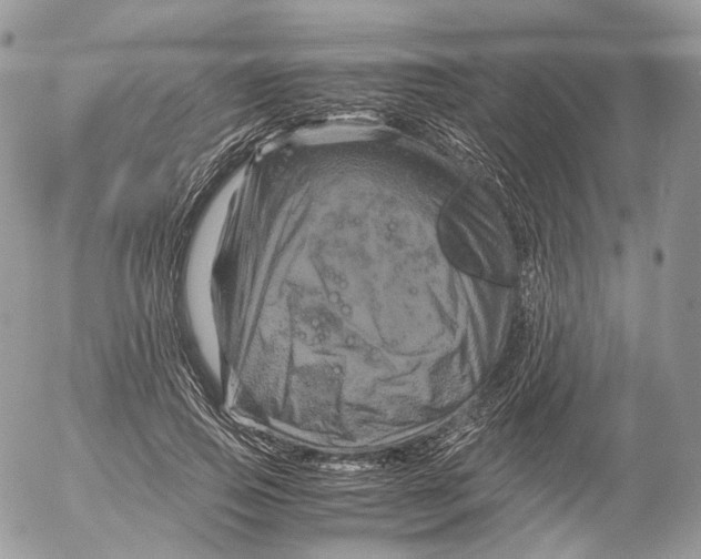 X0000052630741200507221749