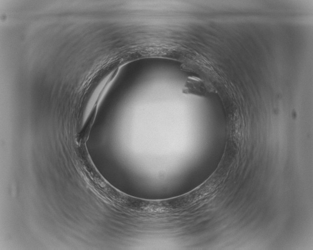 X0000052630742200507221749