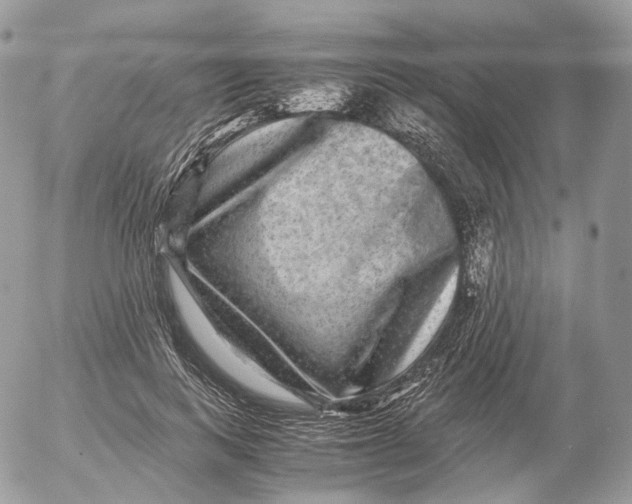 X0000052630743200507221749