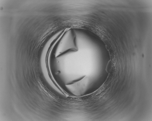 X0000052630744200507221749