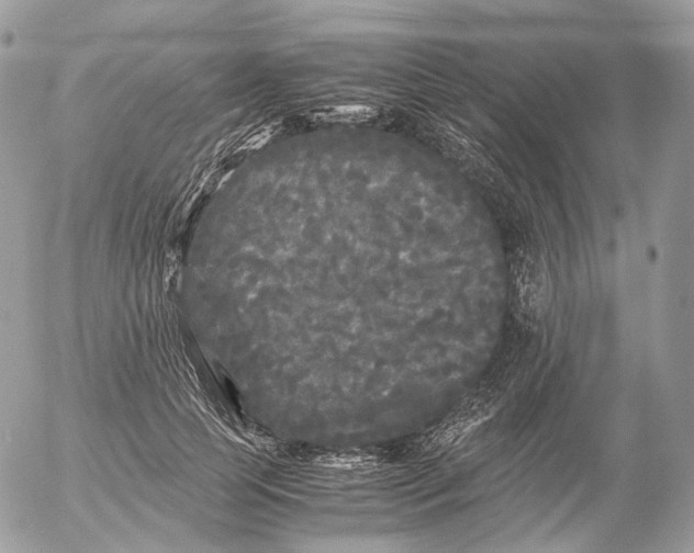 X0000052630745200507221749