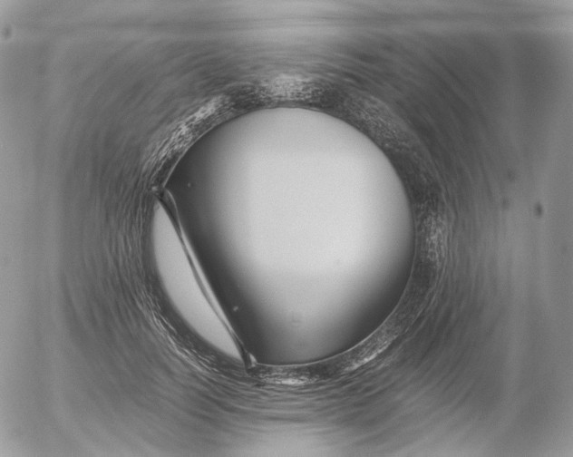 X0000052630746200507221749