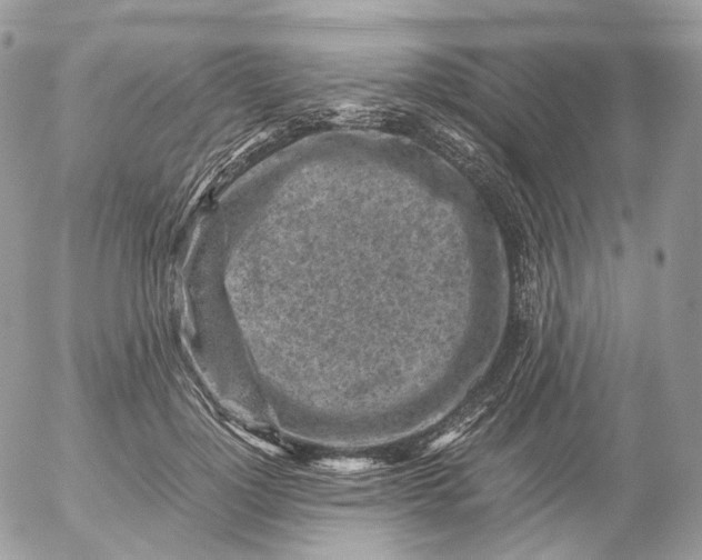 X0000052630748200507221749