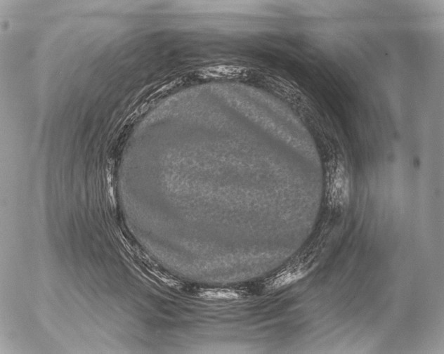 X0000052630749200507221749