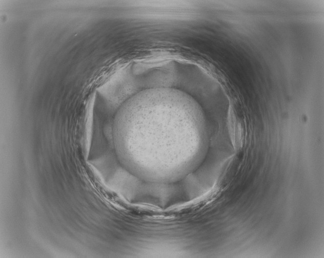 X0000052630750200507221749