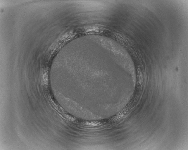 X0000052630753200507221750