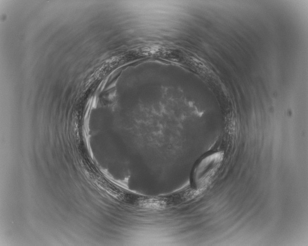 X0000052630754200507221750