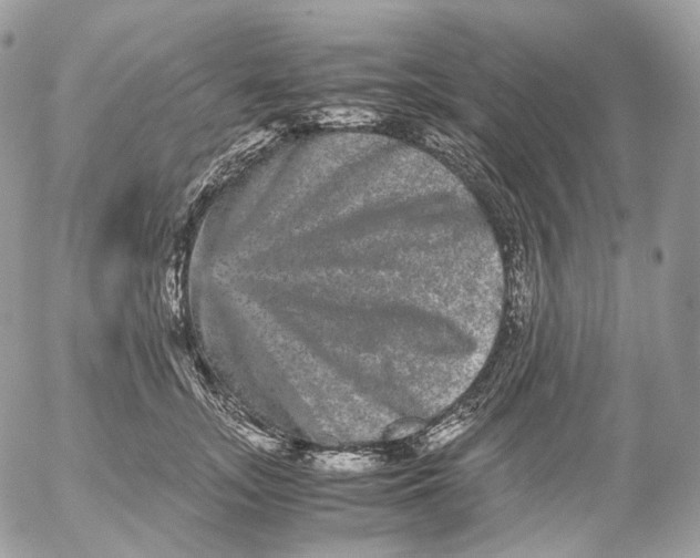 X0000052630755200507221750