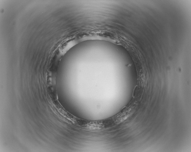 X0000052630756200507221750