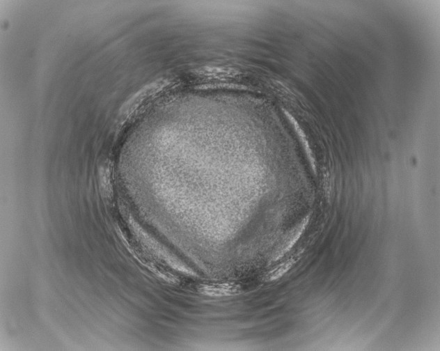 X0000052630757200507221750