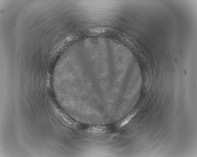 X0000052630758200507221750