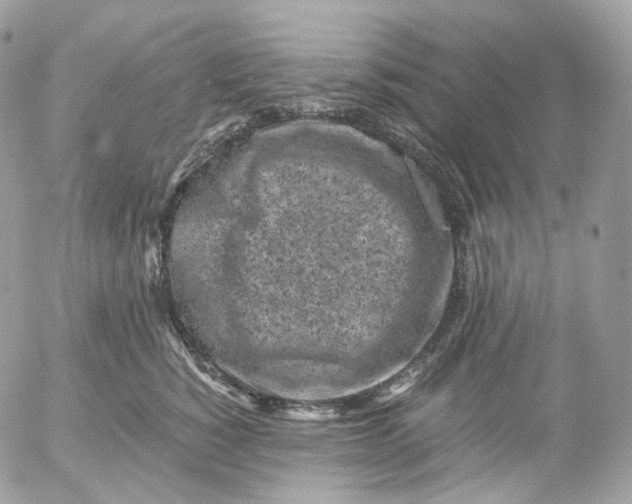 X0000052630760200507221750