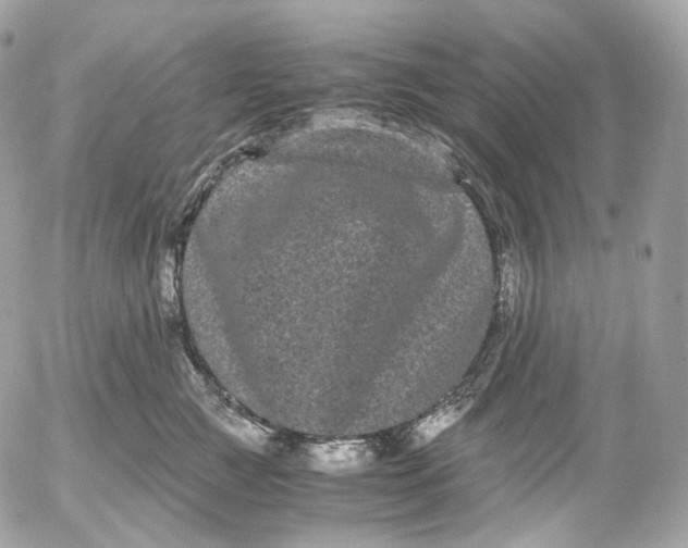 X0000052630761200507221750