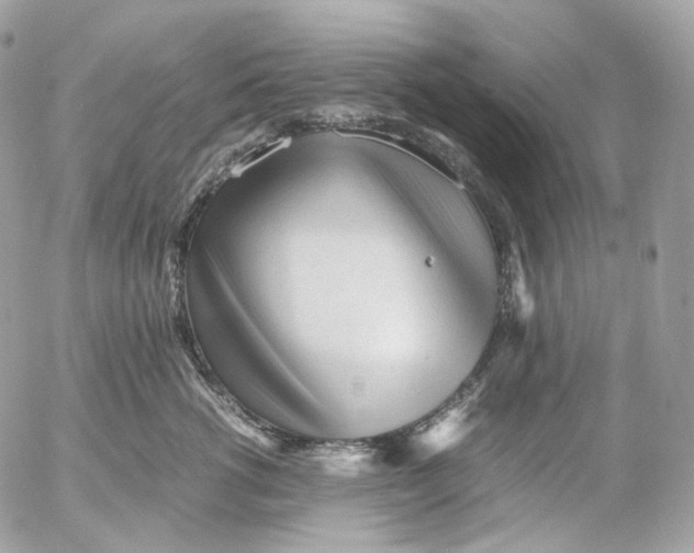 X0000052630762200507221750