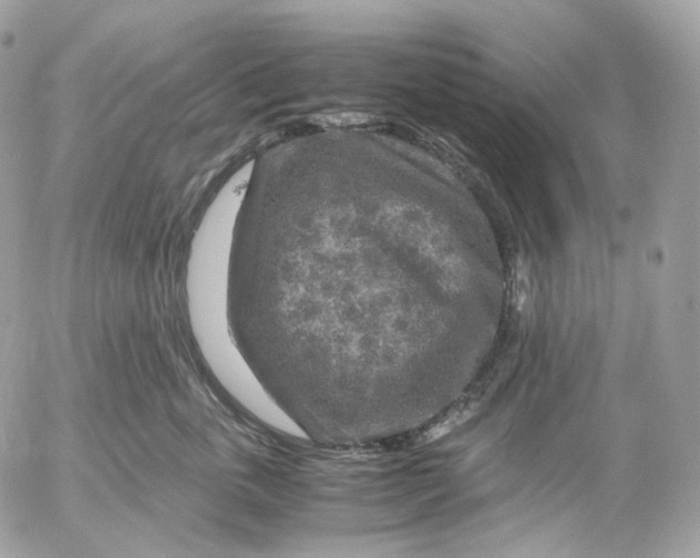 X0000052630763200507221750