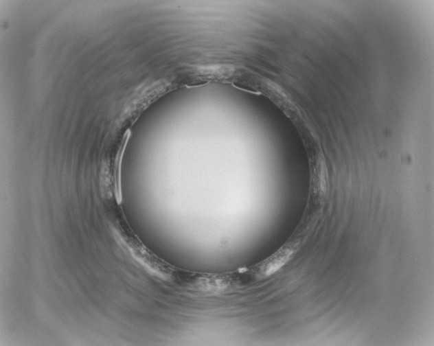 X0000052630764200507221750