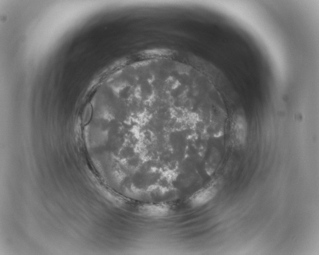 X0000052630765200507221750