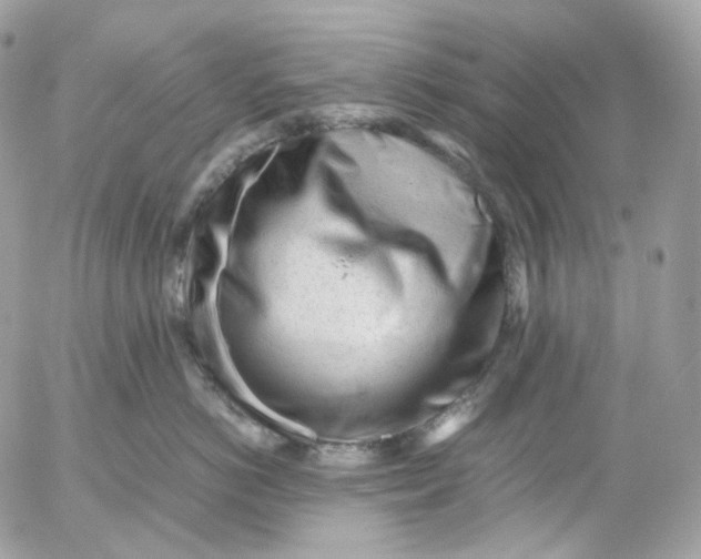 X0000052630766200507221750