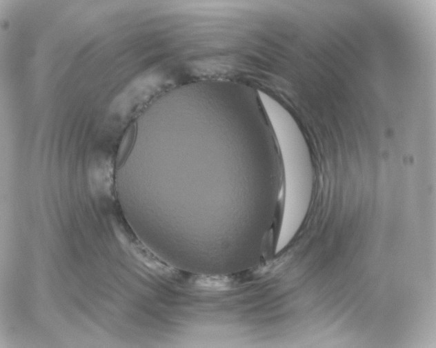 X0000052630767200507221750