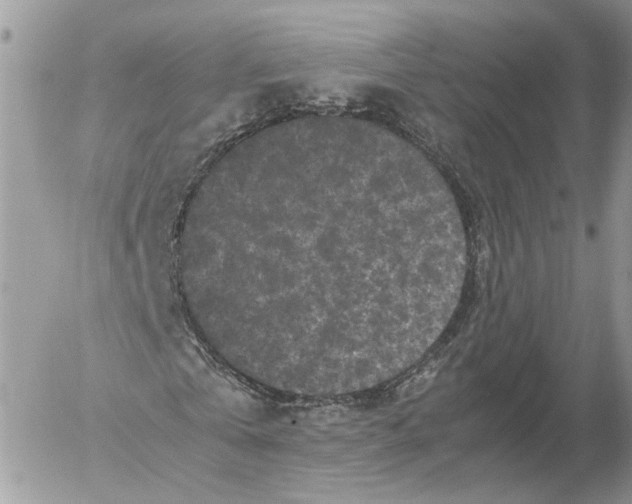 X0000052630769200507221749