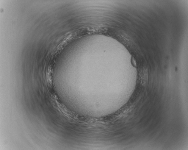 X0000052630770200507221749