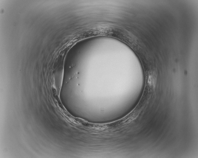 X0000052630771200507221749