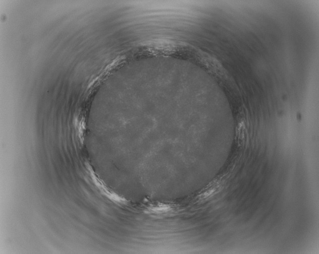 X0000052630772200507221749