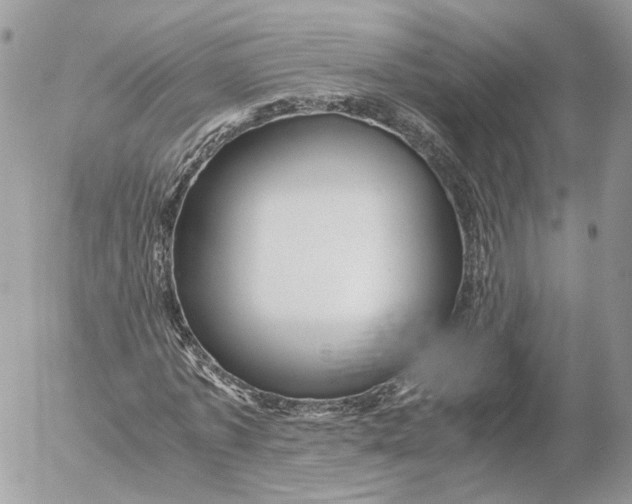 X0000052630773200507221749