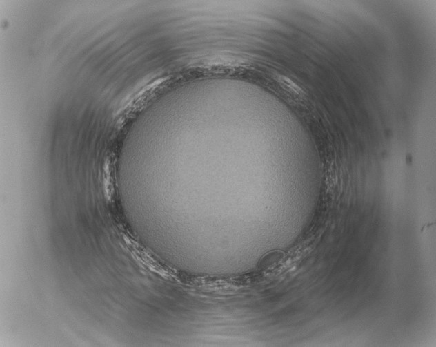 X0000052630774200507221749