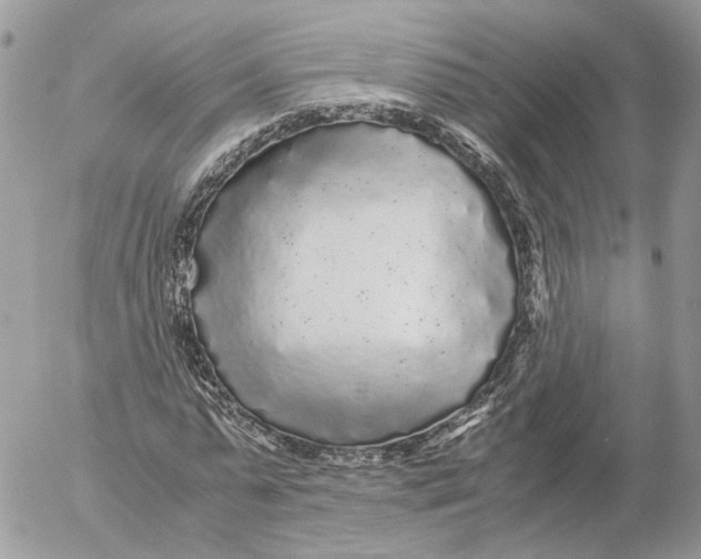 X0000052630775200507221749