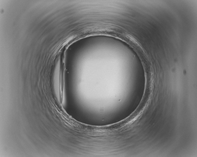 X0000052630777200507221749