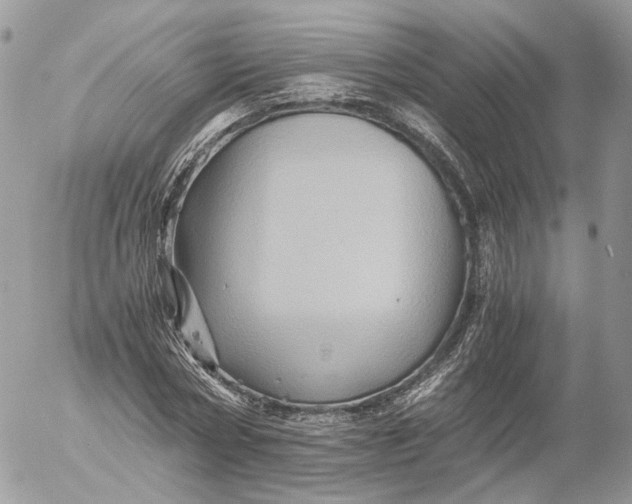 X0000052630778200507221749