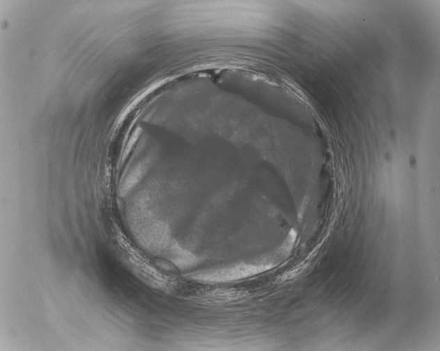 X0000052630779200507221749