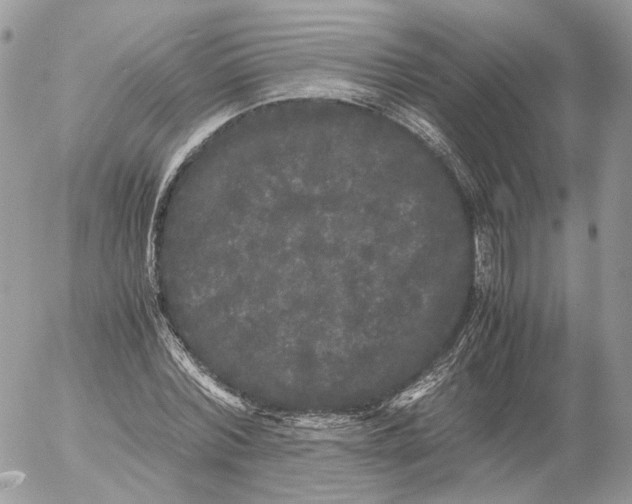 X0000052630780200507221749