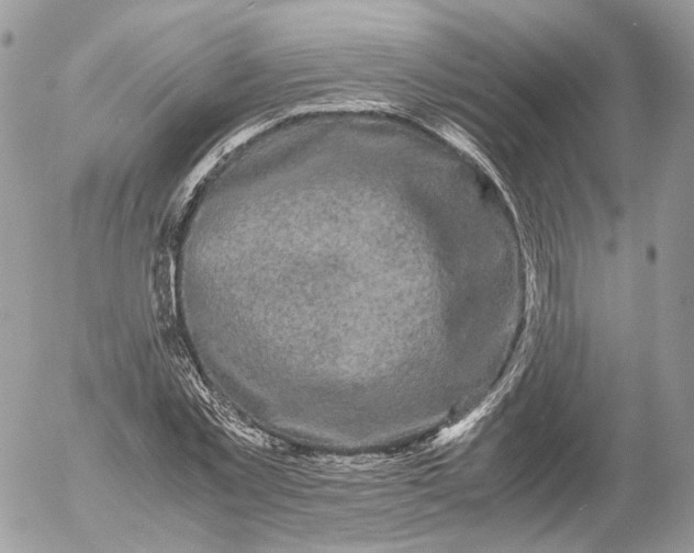 X0000052630781200507221749