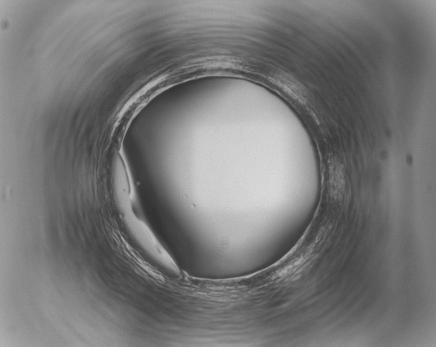 X0000052630782200507221749